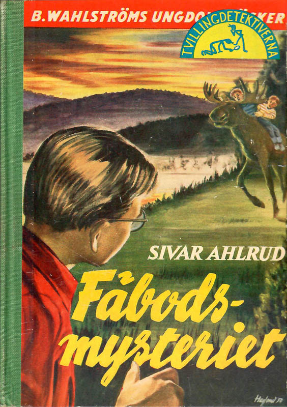 Skaparbubblor Fäbods Hegland